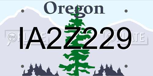 IA2Z229 Oregon License Plate