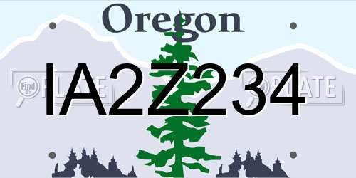 IA2Z234 Oregon License Plate