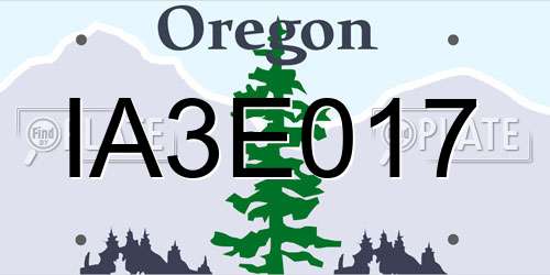IA3E017 Oregon License Plate