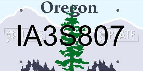 IA3S807 Oregon License Plate
