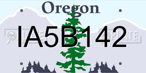 IA5B142 Oregon License Plate
