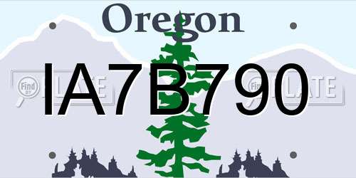 IA7B790 Oregon License Plate