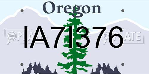 IA7I376 Oregon License Plate