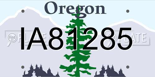 IA81285 Oregon License Plate