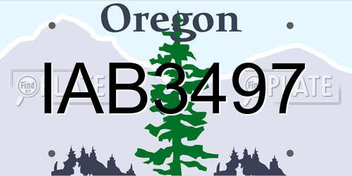 IAB3497 Oregon License Plate