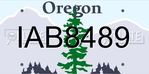 IAB8489 Oregon License Plate