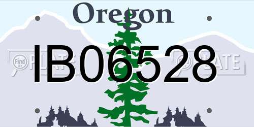 IB06528 Oregon License Plate