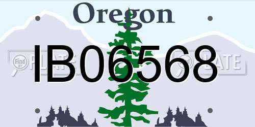IB06568 Oregon License Plate
