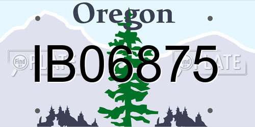 IB06875 Oregon License Plate