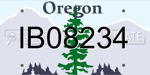 IB08234 Oregon License Plate