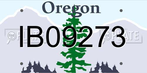 IB09273 Oregon License Plate