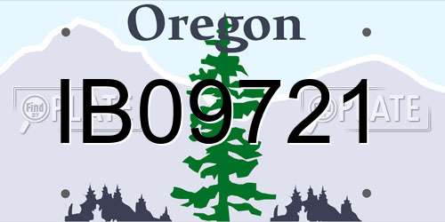 IB09721 Oregon License Plate