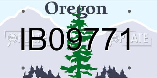 IB09771 Oregon License Plate