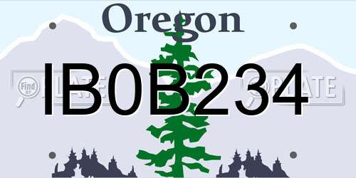 IB0B234 Oregon License Plate