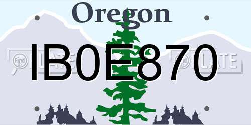 IB0E870 Oregon License Plate