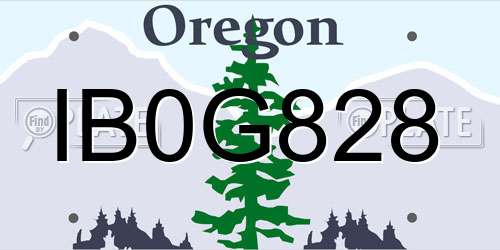 IB0G828 Oregon License Plate
