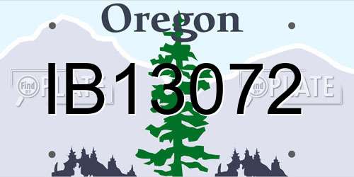 IB13072 Oregon License Plate