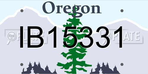 IB15331 Oregon License Plate
