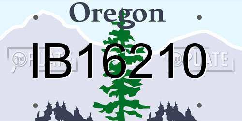 IB16210 Oregon License Plate