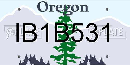IB1B531 Oregon License Plate