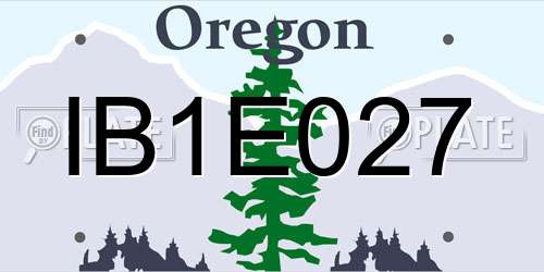 IB1E027 Oregon License Plate