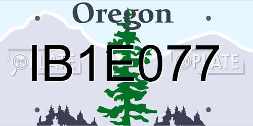 IB1E077 Oregon License Plate