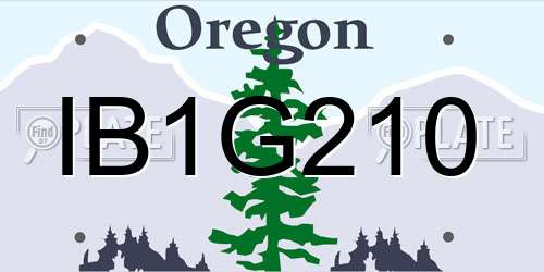 IB1G210 Oregon License Plate