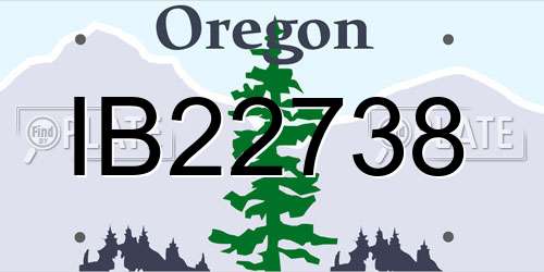 IB22738 Oregon License Plate