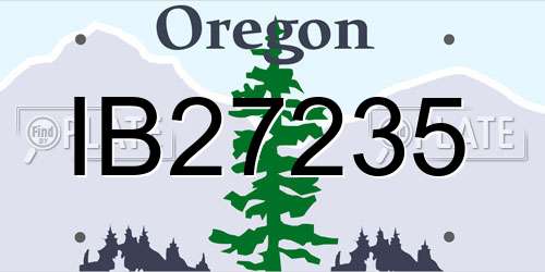 IB27235 Oregon License Plate
