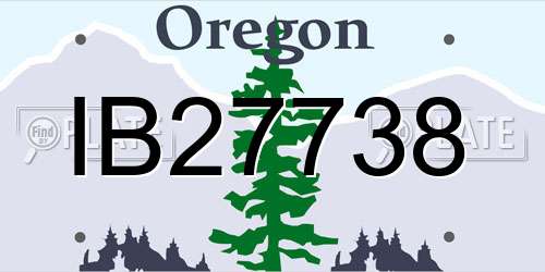 IB27738 Oregon License Plate