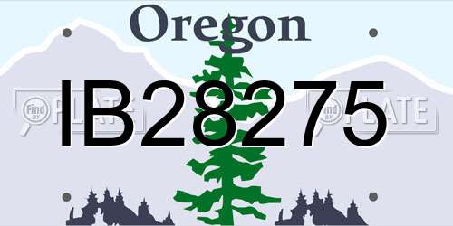 IB28275 Oregon License Plate