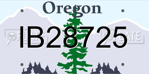 IB28725 Oregon License Plate