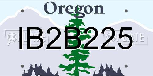 IB2B225 Oregon License Plate