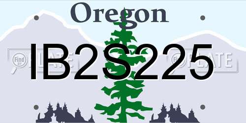 IB2S225 Oregon License Plate