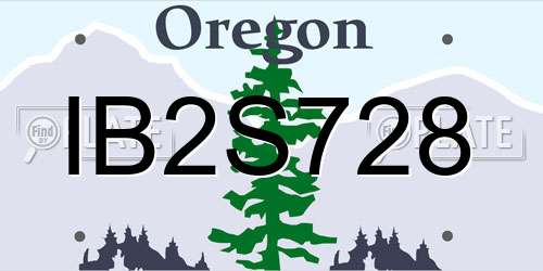 IB2S728 Oregon License Plate