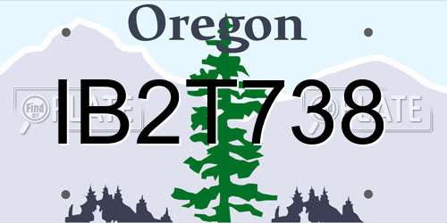IB2T738 Oregon License Plate