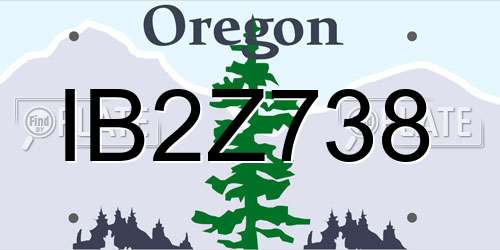 IB2Z738 Oregon License Plate