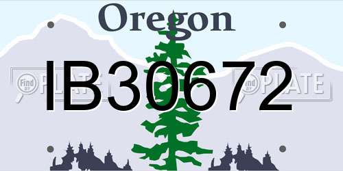 IB30672 Oregon License Plate