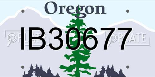 IB30677 Oregon License Plate