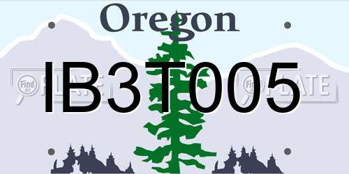 IB3T005 Oregon License Plate