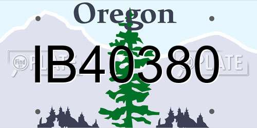 IB40380 Oregon License Plate