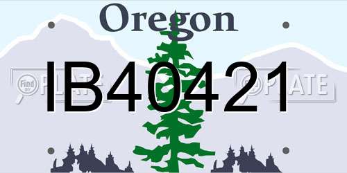 IB40421 Oregon License Plate
