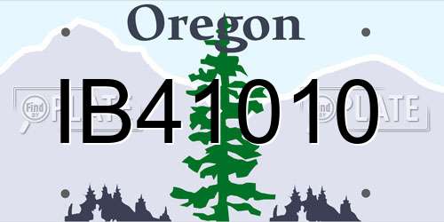 IB41010 Oregon License Plate