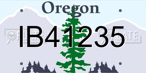 IB41235 Oregon License Plate
