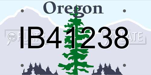 IB41238 Oregon License Plate