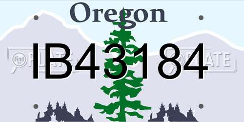 IB43184 Oregon License Plate
