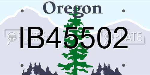 IB45502 Oregon License Plate