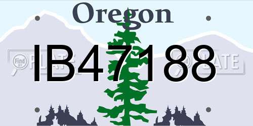 IB47188 Oregon License Plate