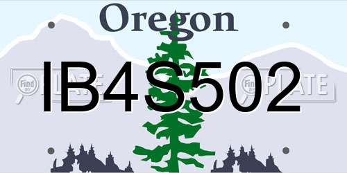 IB4S502 Oregon License Plate