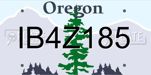 IB4Z185 Oregon License Plate